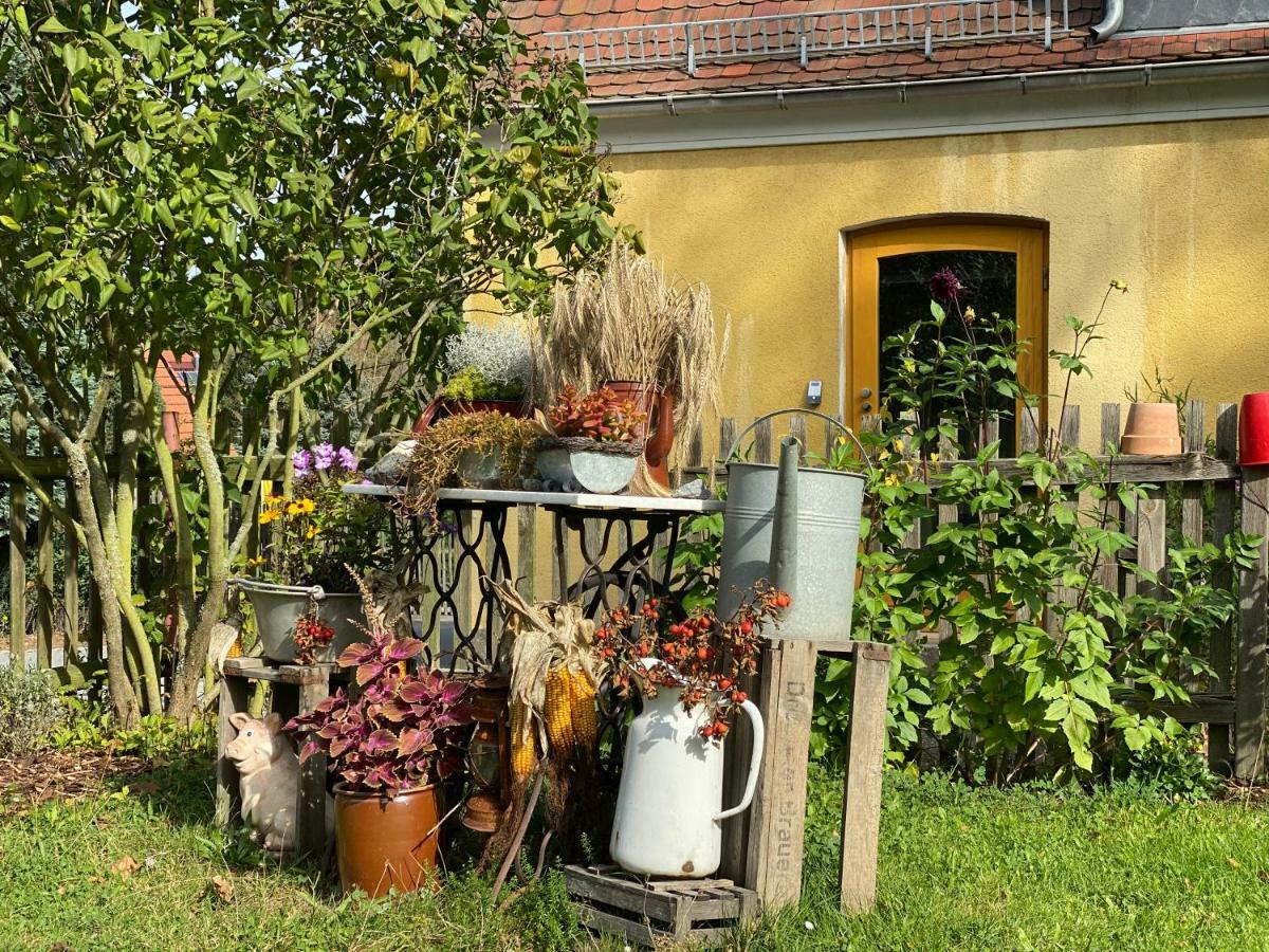 Moderne Pension Vonbartsch Mit Ladestation In Der Saechsischen Schweiz Struppen Zewnętrze zdjęcie
